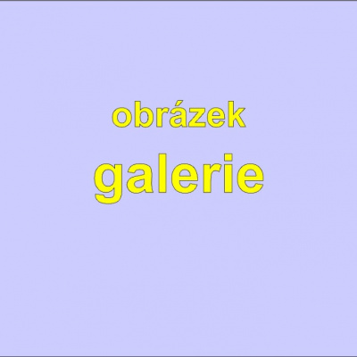 thmb-galerie-300x200-b-179.jpg